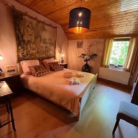 Hondvriendelijke Vakantiewoning Met Jacuzzi Foret D'animaux