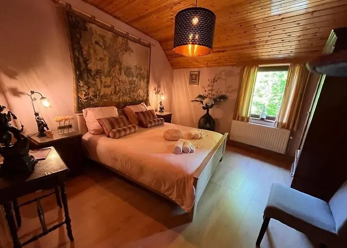 Hondvriendelijke Vakantiewoning Met Jacuzzi Foret D'animaux